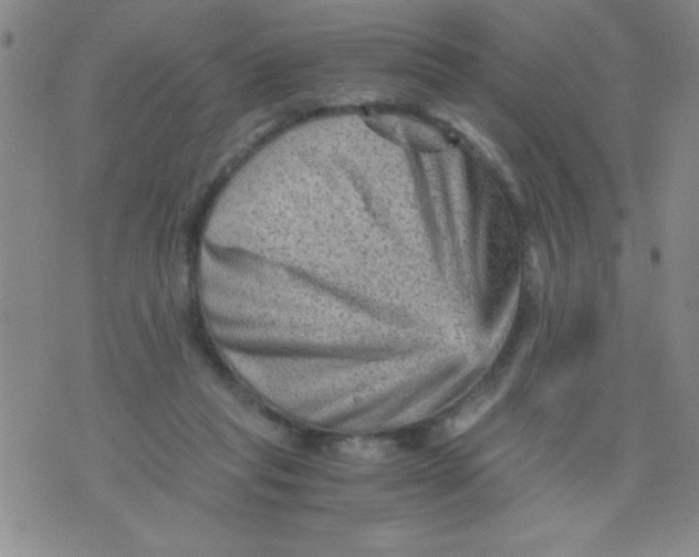 X0000076030261200610152054