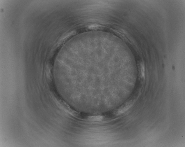 X0000076030266200610152054