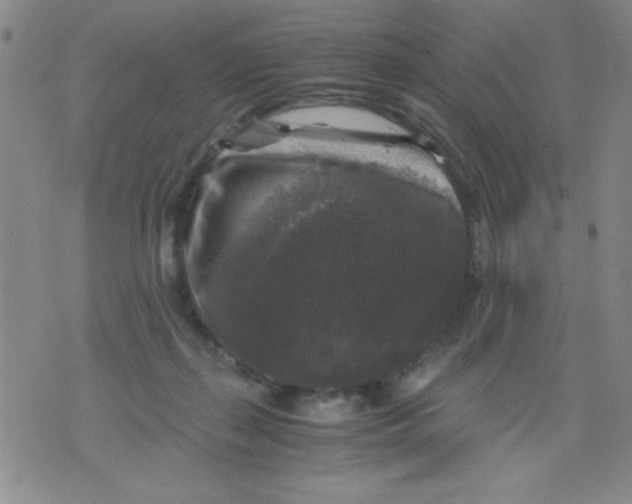 X0000076030267200610152054