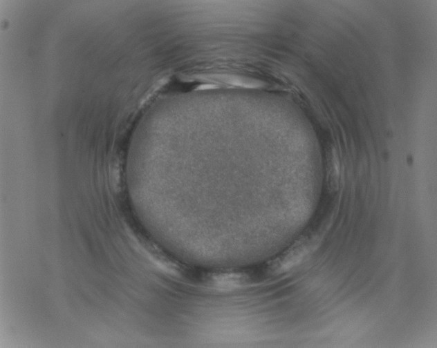 X0000076030268200610152054