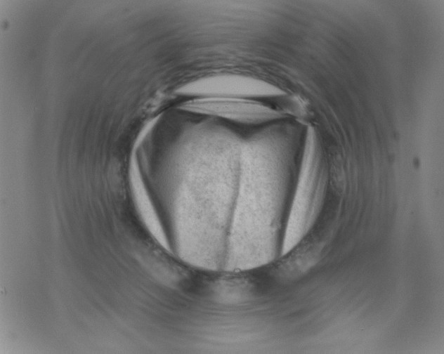 X0000076030270200610152054