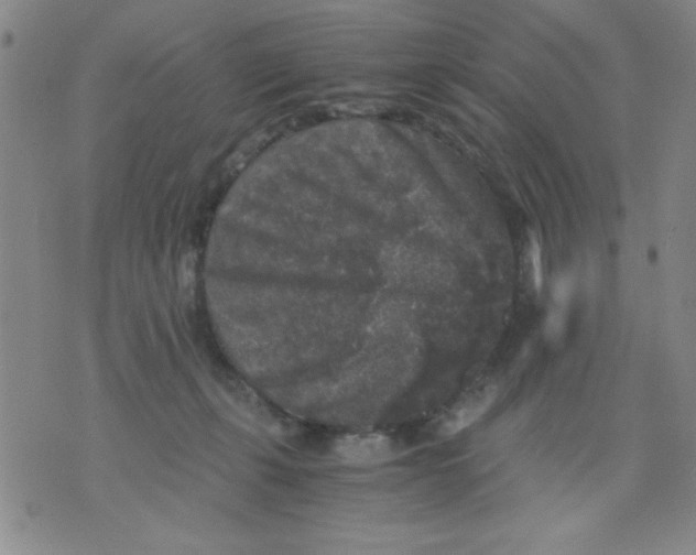 X0000076030271200610152055