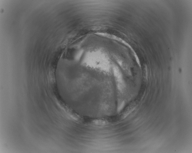 X0000076030272200610152055