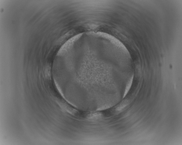 X0000076030274200610152055