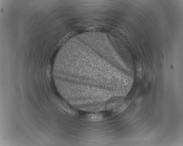 X0000076030275200610152055