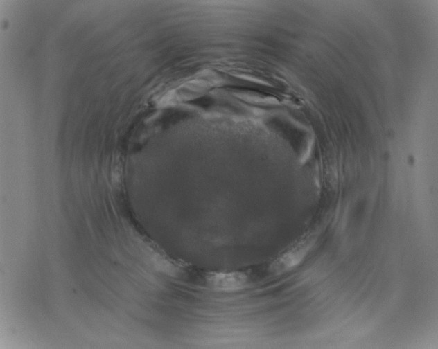 X0000076030277200610152055