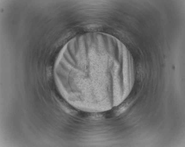 X0000076030278200610152055