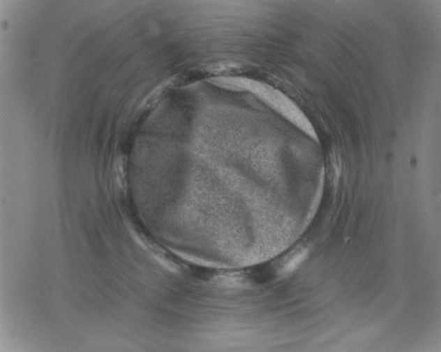 X0000076030280200610152055