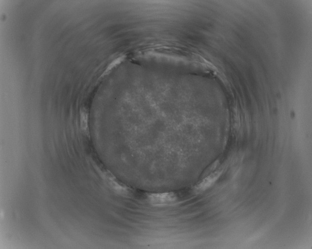 X0000076030281200610152055