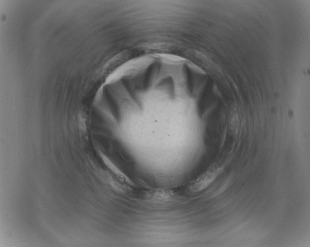 X0000076030282200610152055