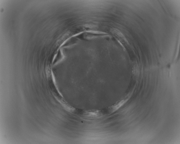 X0000076030285200610152055