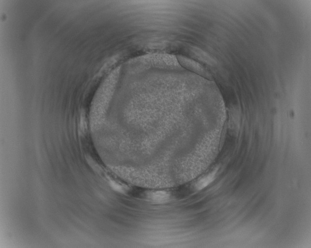 X0000076030287200610152055