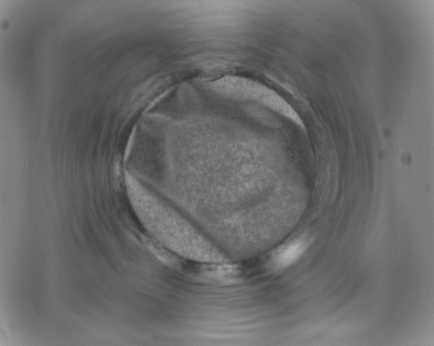 X0000076030288200610152055