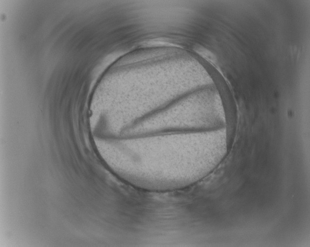 X0000076030289200610152054