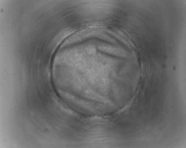 X0000076030290200610152054