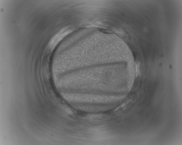 X0000076030291200610152054