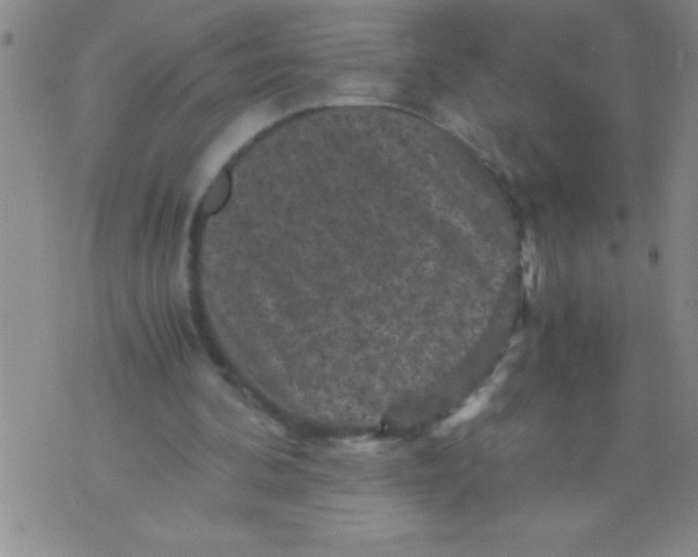 X0000076030292200610152054