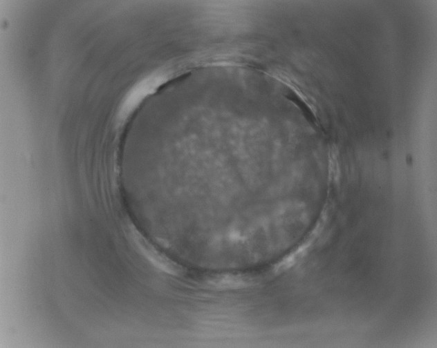 X0000076030293200610152054