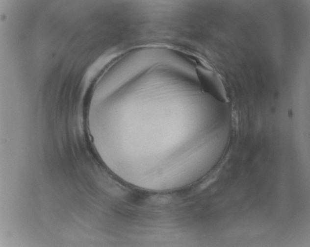 X0000076030294200610152054