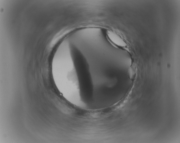 X0000076030295200610152054