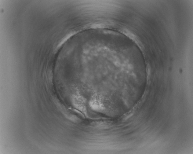 X0000076030297200610152054