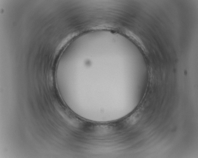 X0000076030298200610152054