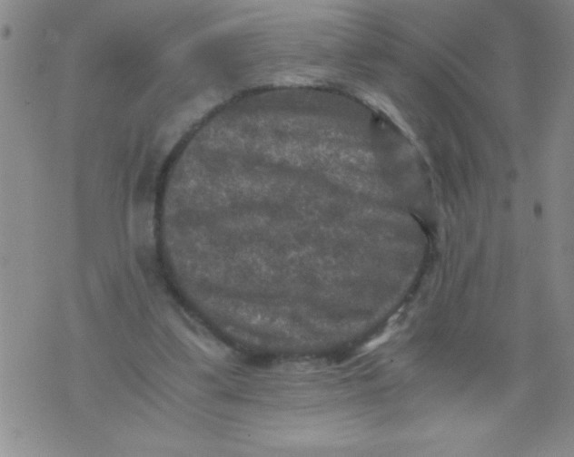 X0000076030299200610152054