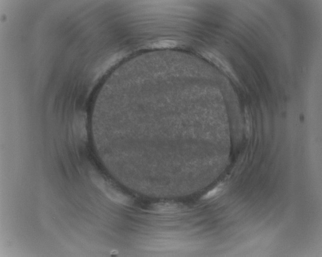 X0000076030300200610152054