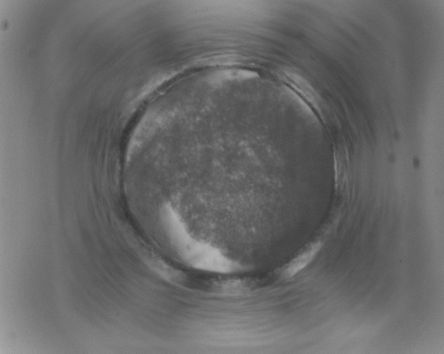 X0000076030301200610152054