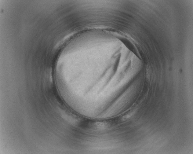 X0000076030302200610152054