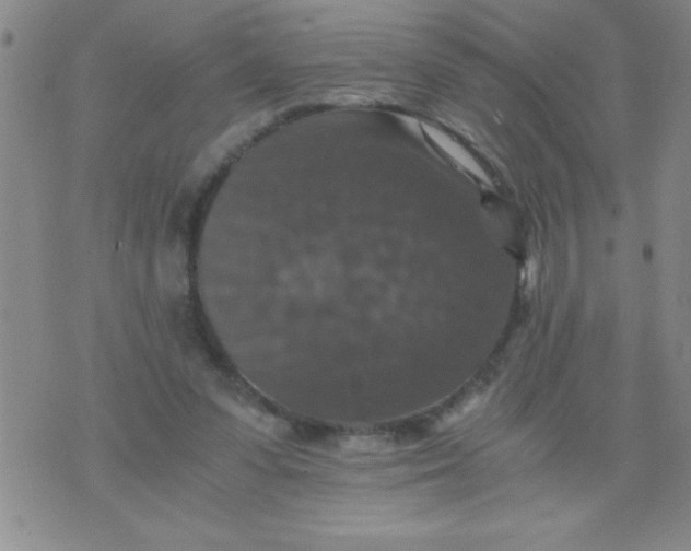 X0000076030303200610152054