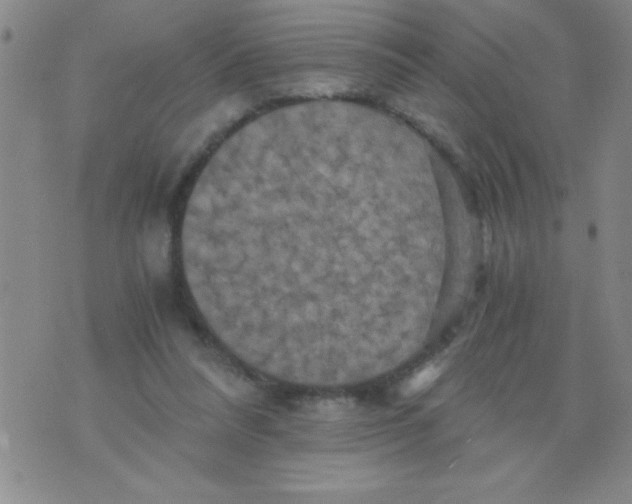 X0000076030304200610152054