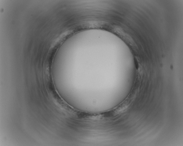 X0000076030306200610152054