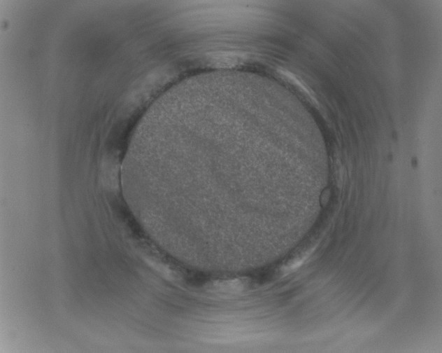 X0000076030307200610152054