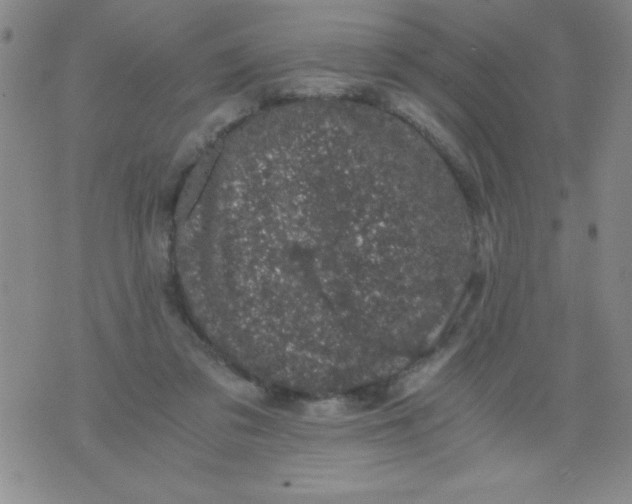 X0000076030309200610152054