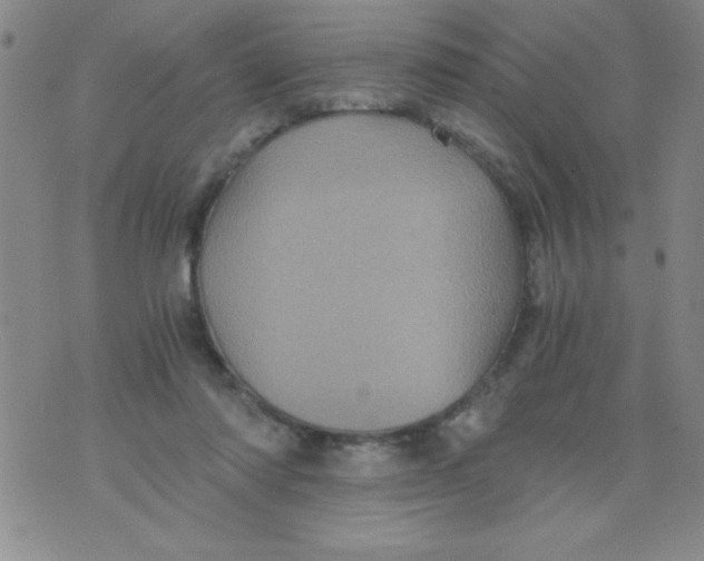 X0000076030310200610152054