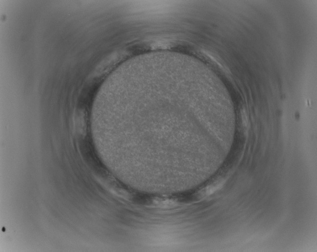 X0000076030311200610152054