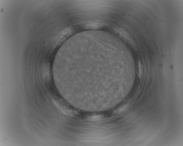 X0000076030312200610152054