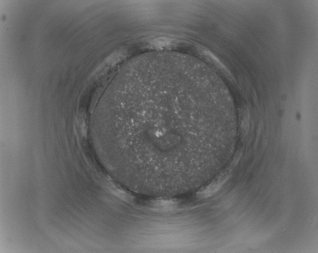 X0000076030313200610152054