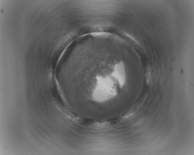 X0000076030314200610152054