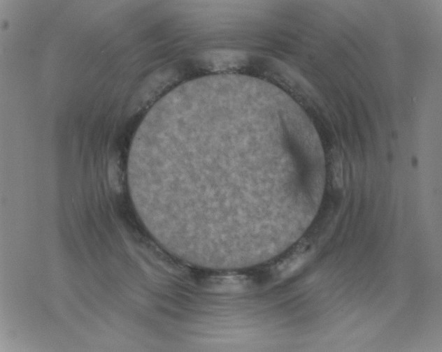 X0000076030316200610152054