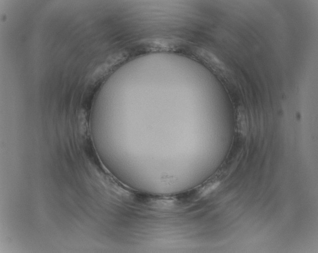 X0000076030318200610152054