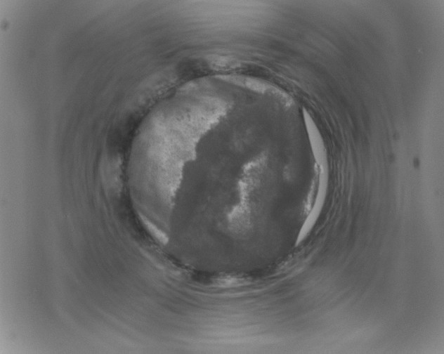 X0000076030319200610152054