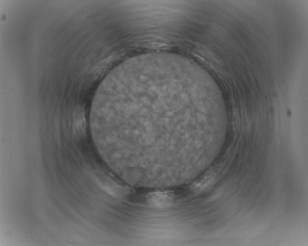 X0000076030320200610152053