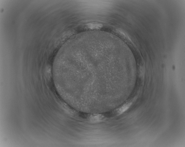 X0000076030321200610152053