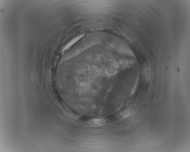 X0000076030323200610152053