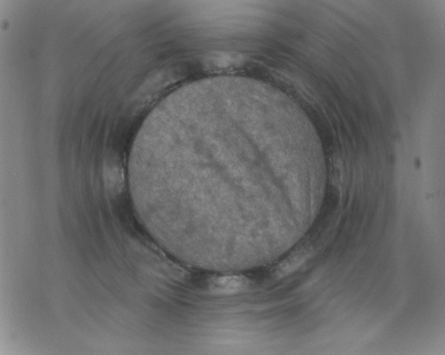 X0000076030324200610152053