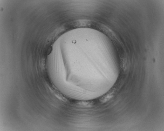 X0000076030326200610152053