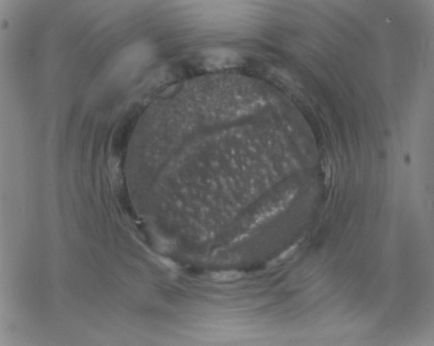 X0000076030327200610152053