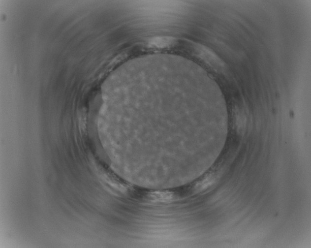 X0000076030328200610152053